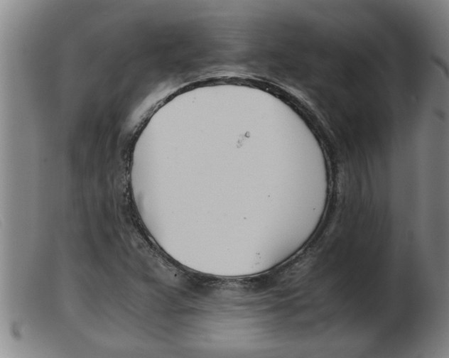 X0000103961359200809191325
