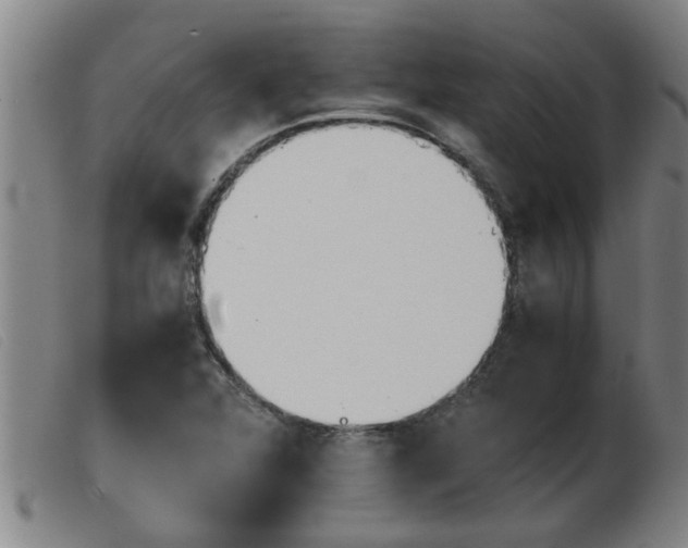 X0000103961360200809191325
