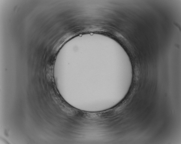 X0000103961361200809191325