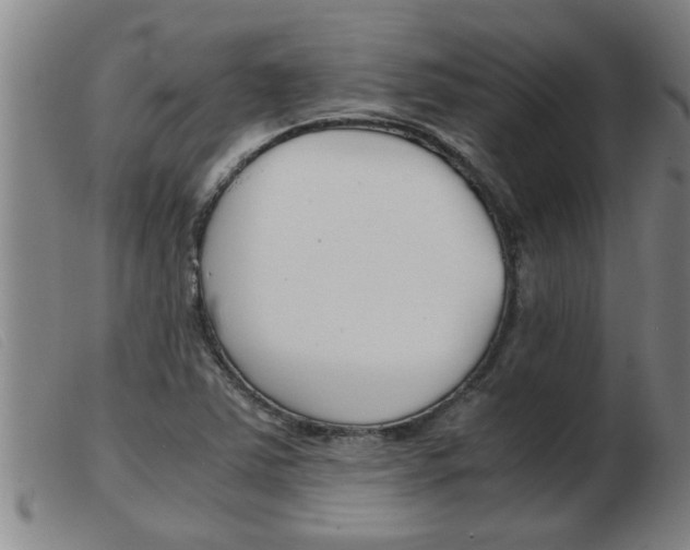 X0000103961363200809191325