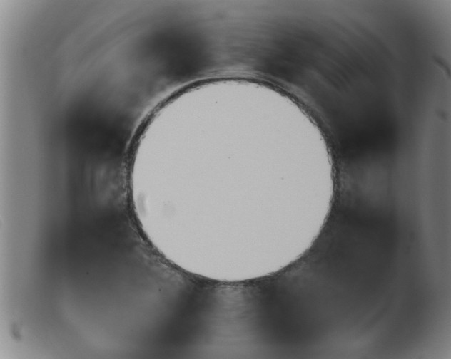 X0000103961364200809191325