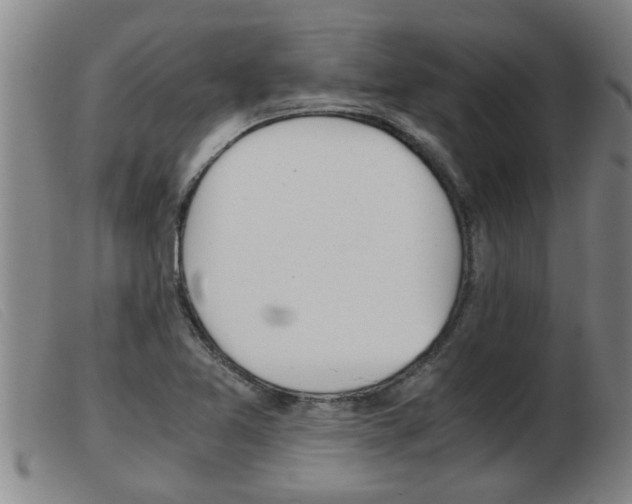 X0000103961365200809191325