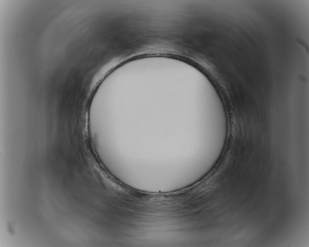 X0000103961366200809191325