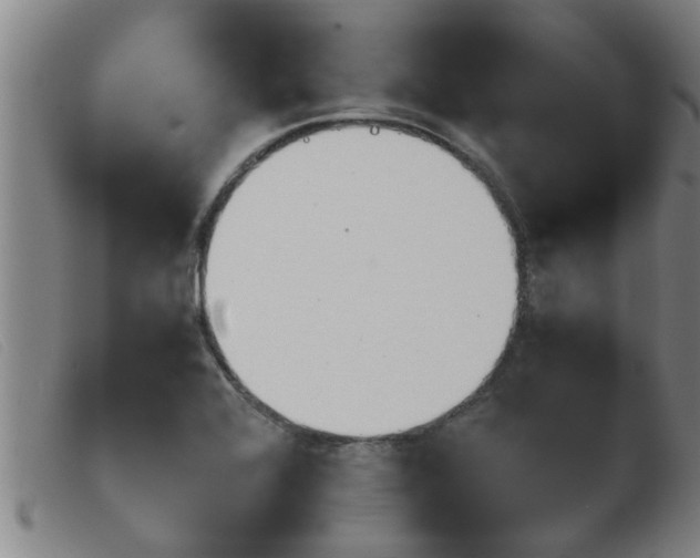 X0000103961368200809191325