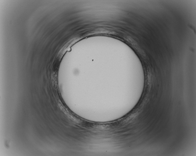 X0000103961369200809191325