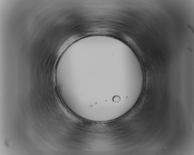 X0000103961370200809191325