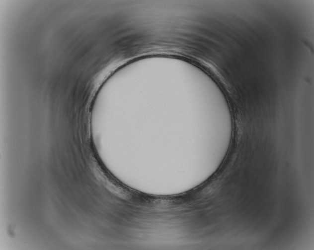 X0000103961371200809191324