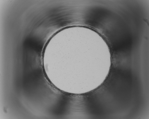 X0000103961372200809191324