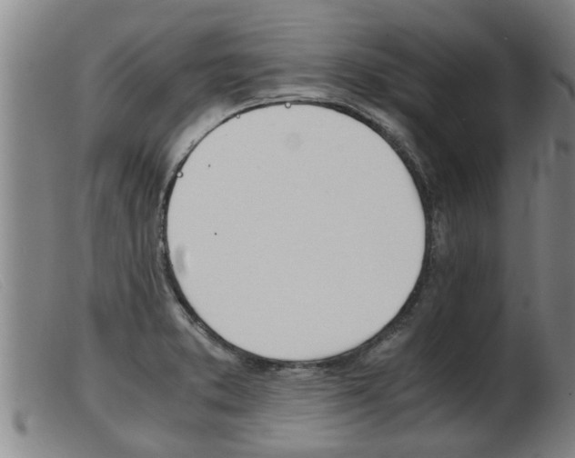 X0000103961373200809191324