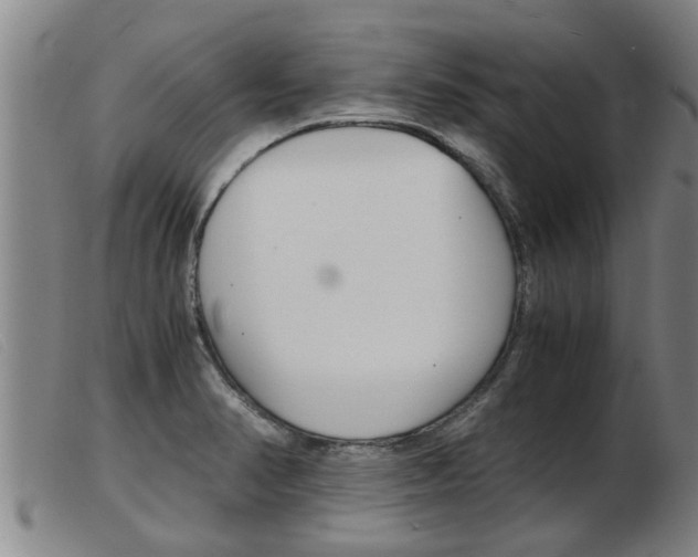 X0000103961374200809191324