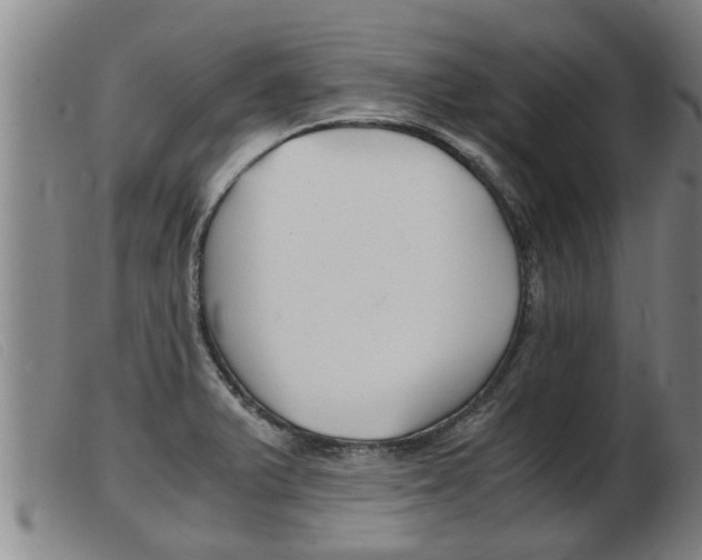 X0000103961375200809191324