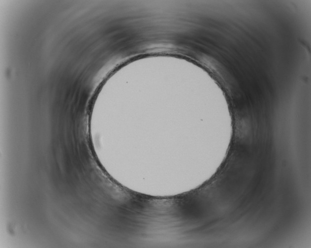 X0000103961376200809191324