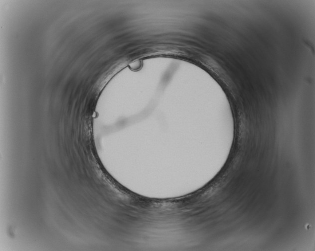 X0000103961377200809191324