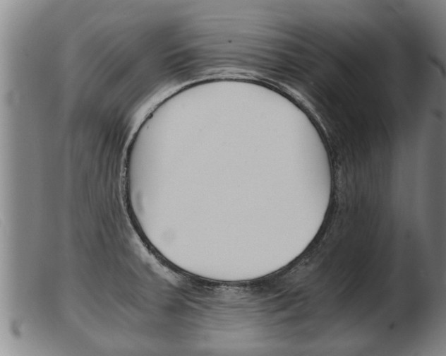X0000103961379200809191324