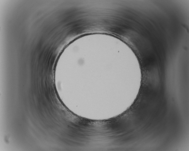 X0000103961380200809191324