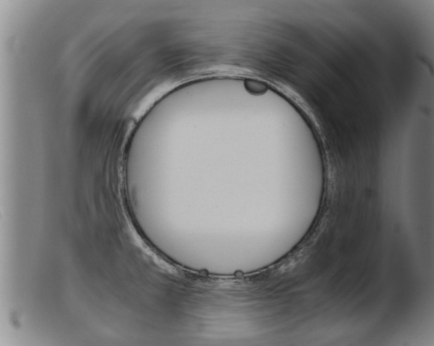 X0000103961381200809191324
