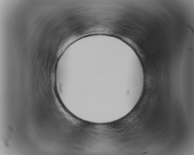 X0000103961383200809191324