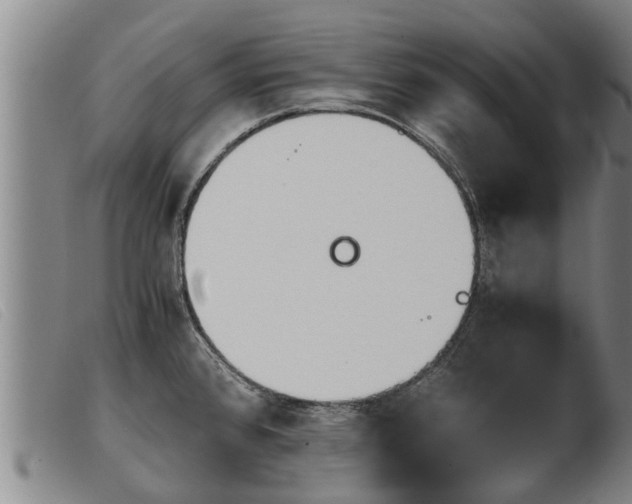 X0000103961384200809191324