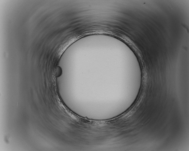 X0000103961385200809191324
