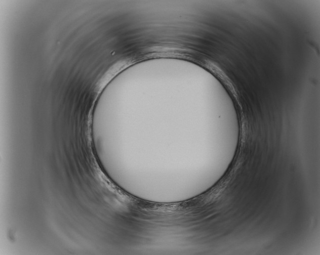 X0000103961386200809191324