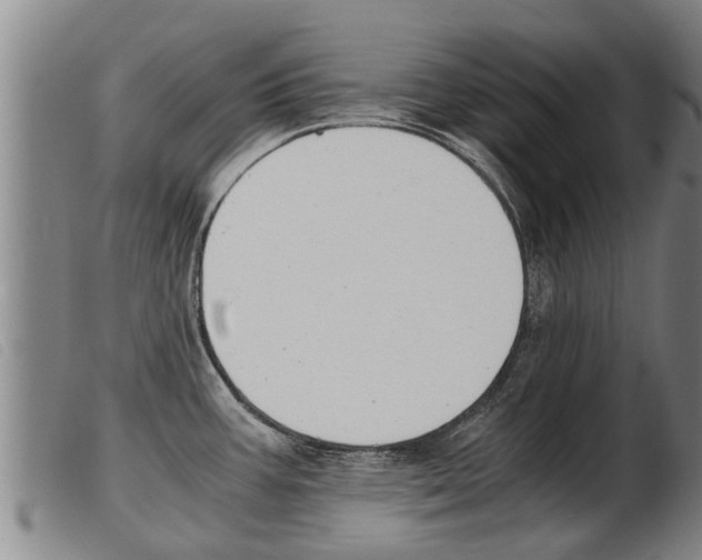 X0000103961387200809191324