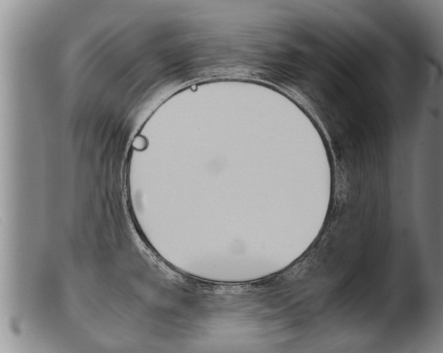 X0000103961389200809191324