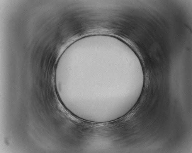 X0000103961390200809191324