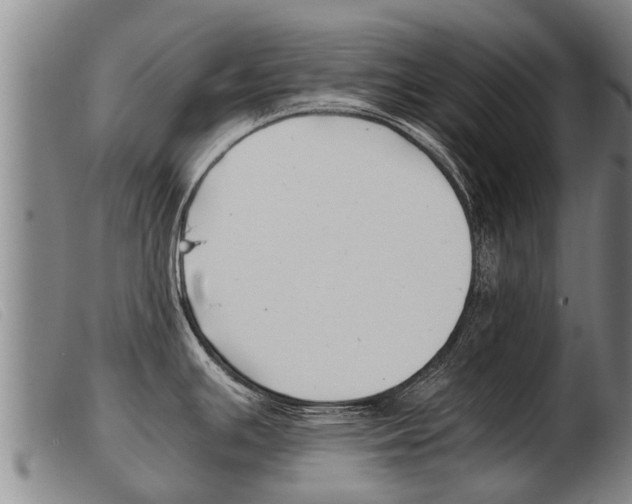 X0000103961391200809191324