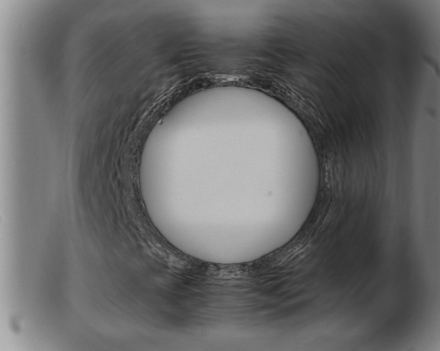 X0000103961393200809191324