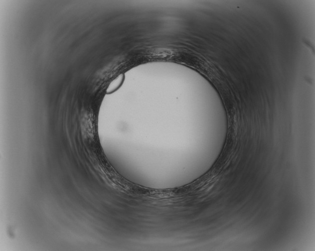 X0000103961394200809191324