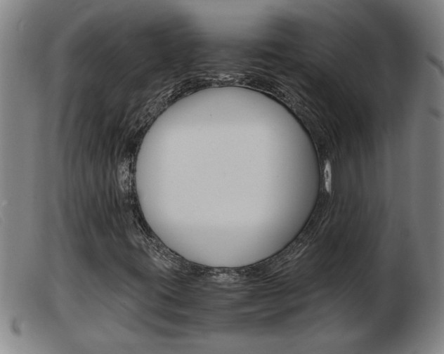 X0000103961395200809191324