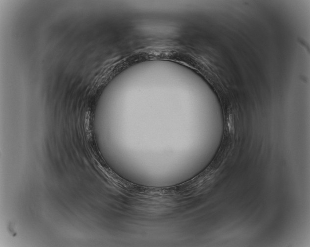X0000103961396200809191324