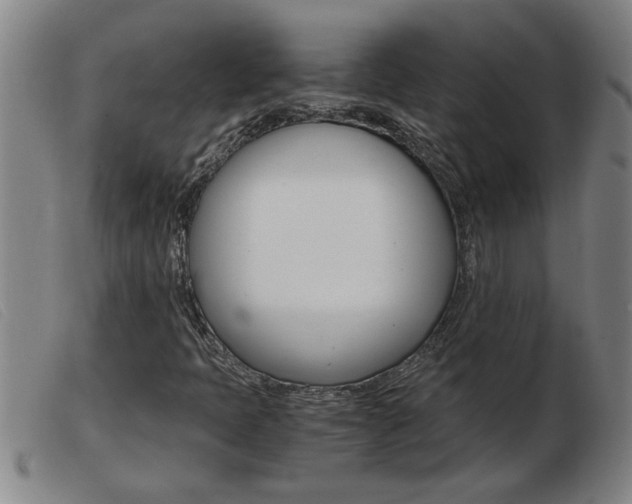 X0000103961397200809191324