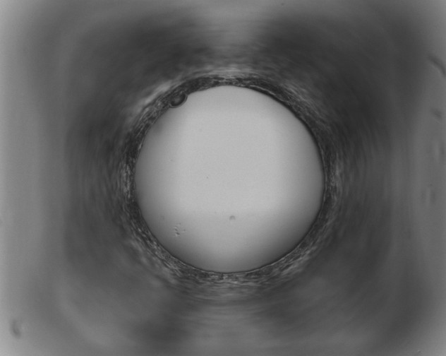 X0000103961398200809191324