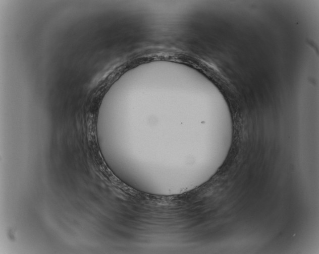 X0000103961399200809191324