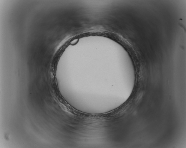 X0000103961400200809191324