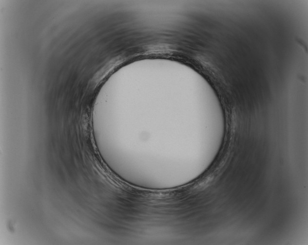 X0000103961401200809191324