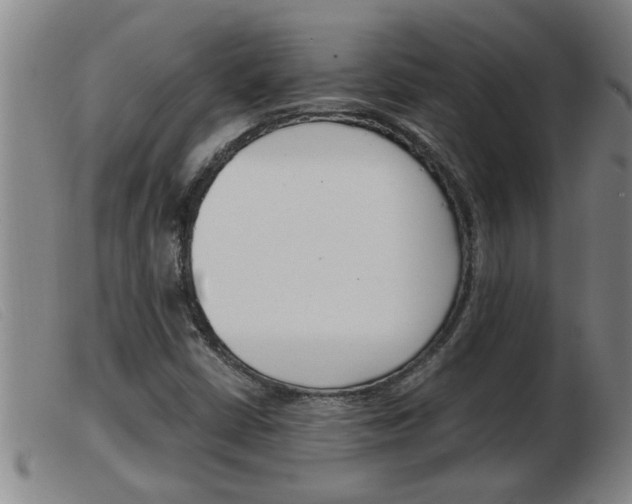 X0000103961402200809191324