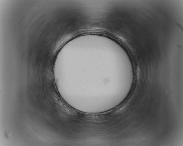 X0000103961405200809191324