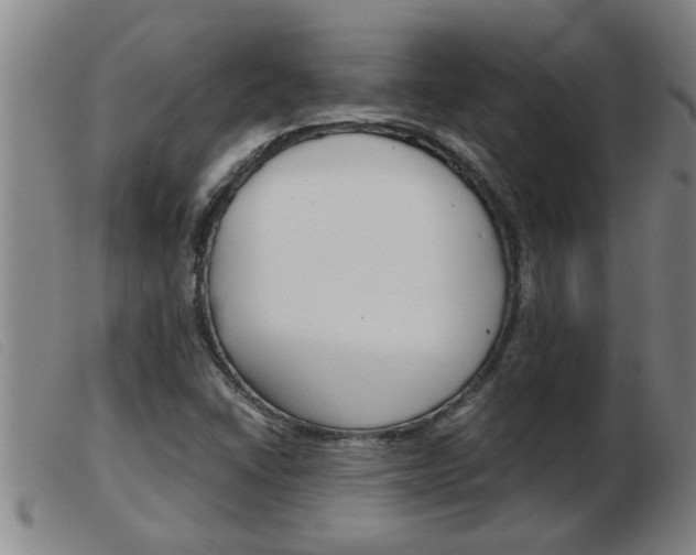 X0000103961406200809191324