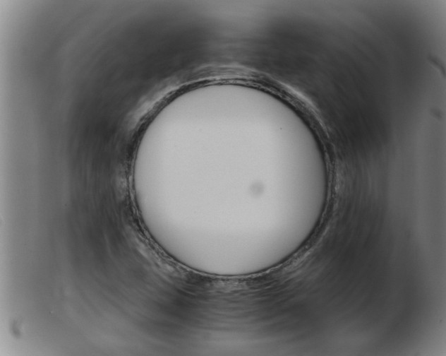 X0000103961407200809191324