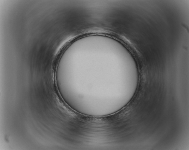 X0000103961408200809191324
