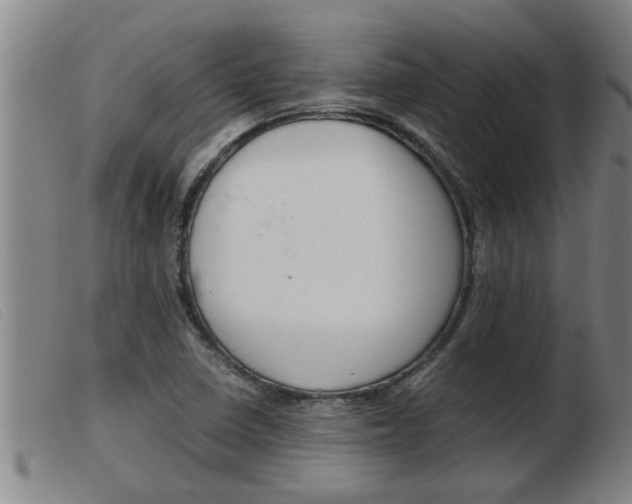 X0000103961410200809191324