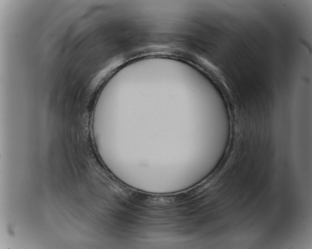 X0000103961411200809191324