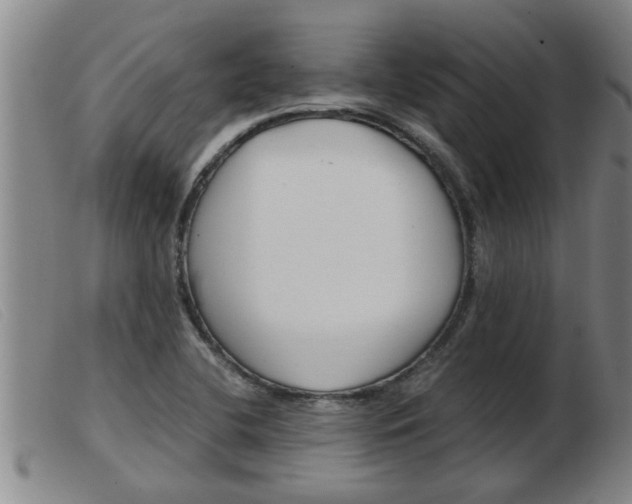 X0000103961412200809191324