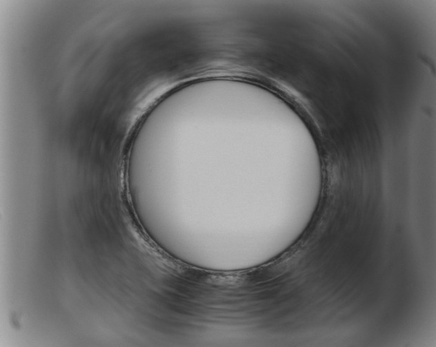 X0000103961415200809191324
