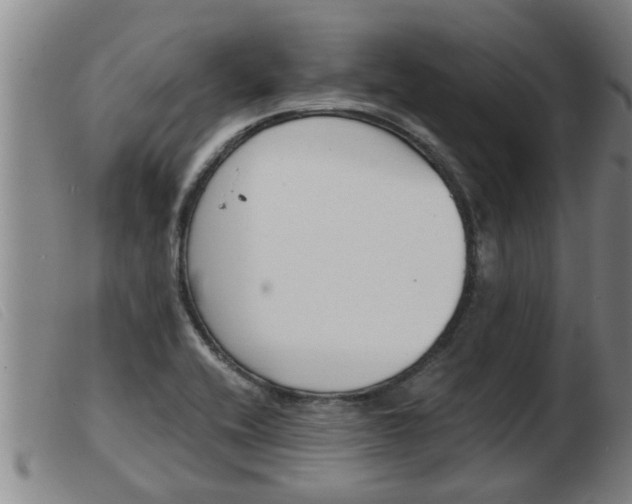X0000103961416200809191324