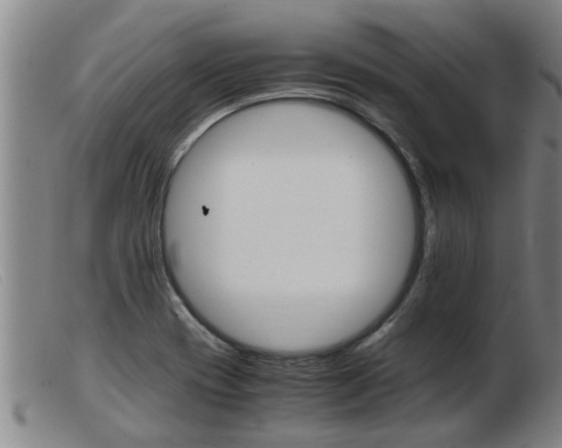 X0000103961417200809191324