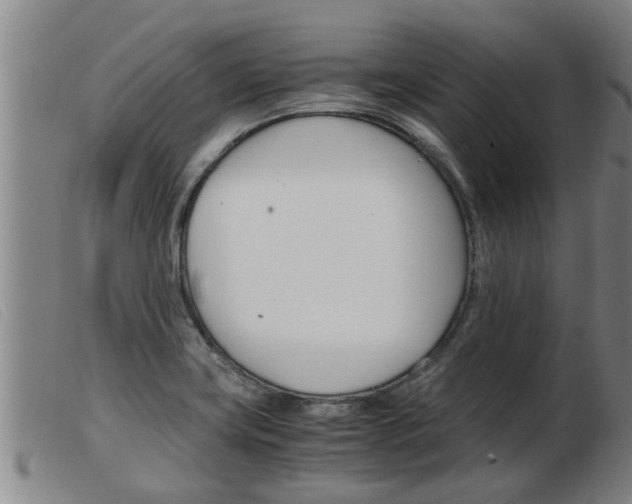 X0000103961419200809191324