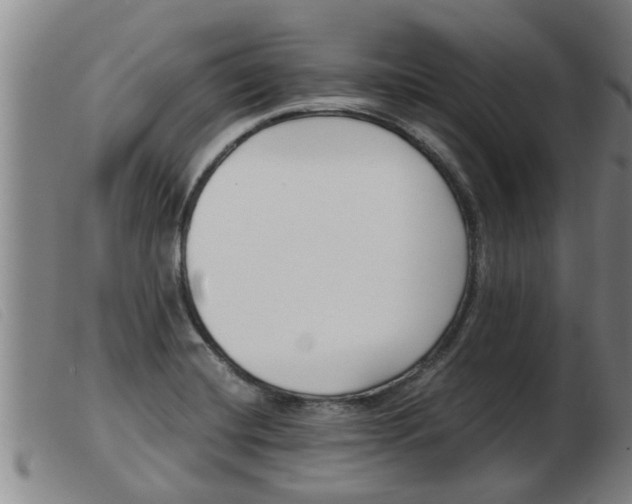 X0000103961420200809191324